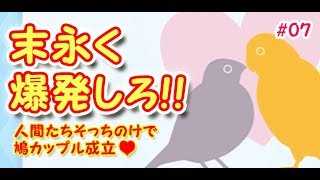 まさかのエンディングに動悸が止まらない!?【はーとふる彼氏 ゲーム実況 #07】