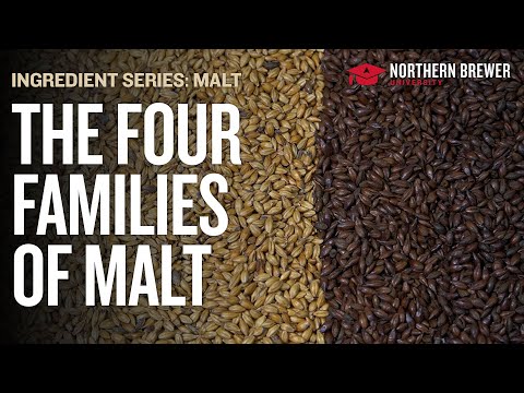 The Four Families of Malt (and How to Use Them in Homebrew)