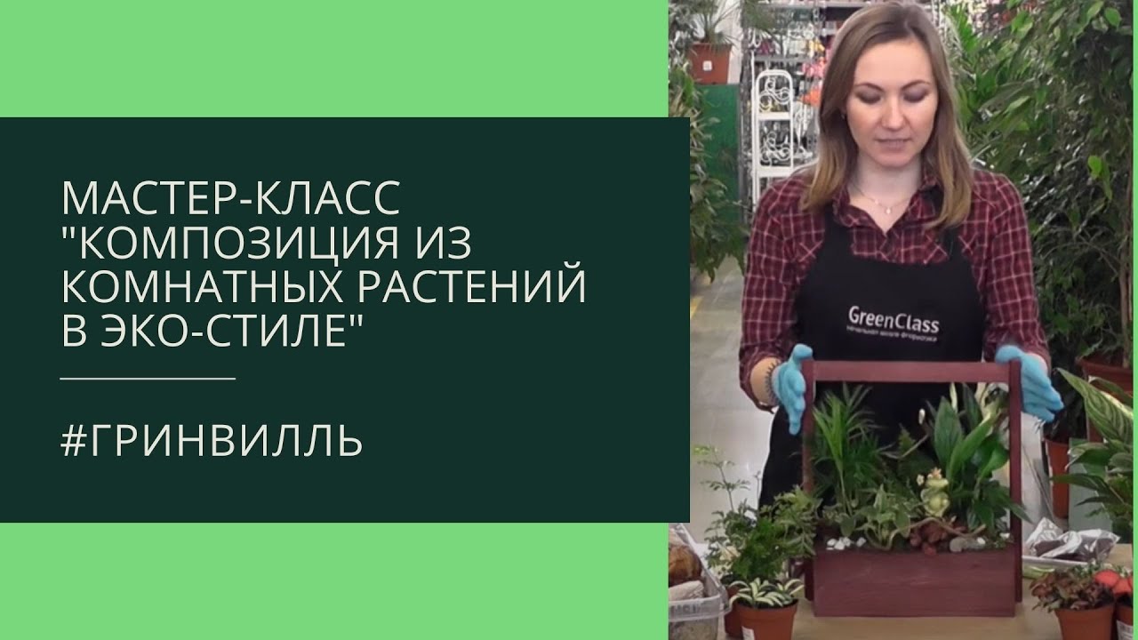 Мастер-класс: композиция из комнатных растений в эко-стиле