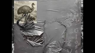 NO ZU Do Deep Dee (NYC Late Night Jam)