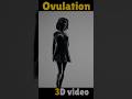 3D Animation Video Of Ovulation And Menstrual Cycle Shorts
