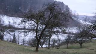 Schneeflocken im Apfelhein Musikvideo von Kaiser Musix / Snow flakes in heaven on earth