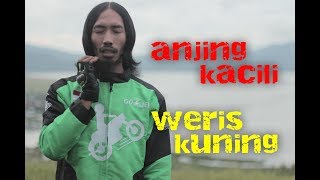 Download lagu ANJING KACILI CHALLENGE mp3