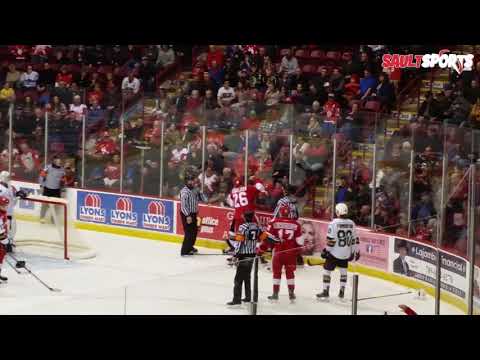 Knight Andrew Perrott vs Greyhound Tim 'C' Gettinger