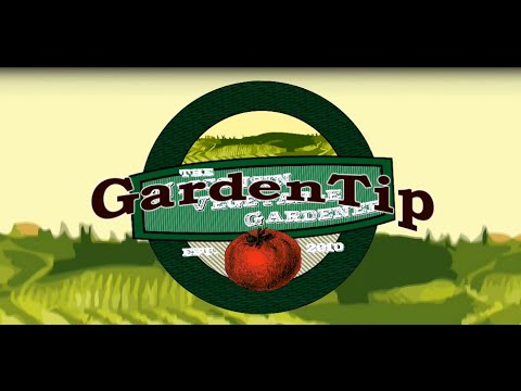 Planting Straw Bale - Garden Tip