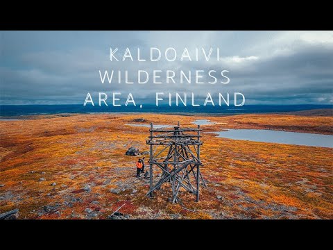 KALDOAIVI IN 60 SECONDS