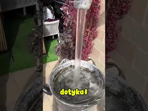 Wszyscy myśleli, że to magia… prawda wyszła na jaw!🤩🤔