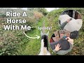 Groom Tack Up And Ride My Horse With Me Horse Riding POV Lilscliffe