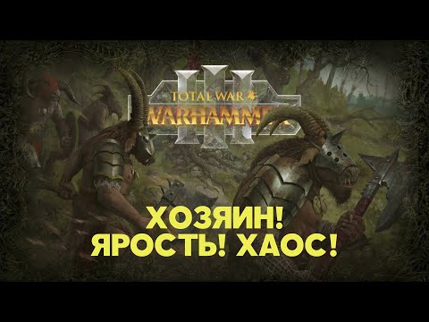 Зверолюды. Разбор фракций Total War Warhammer 3