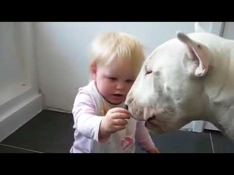 Dangerous DOG & BABY real love