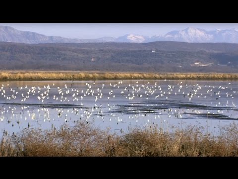 Feuchtgebiete unter Beschuss