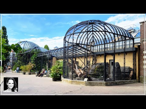 🦋 Exploring Artis Amsterdam Royal Zoo: A Planet Zoo Inspiration Journey | Vlog |
