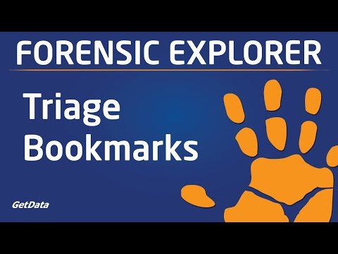 Evidence Triage Bookmarking In Forensic Explorer