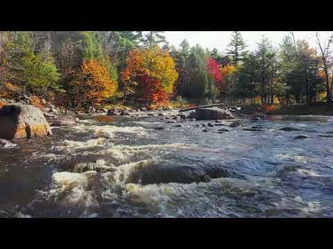 Adirondack Fragrance Farm Short Video