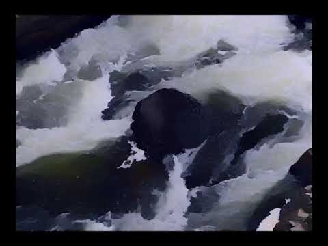Alaskan Tapes - Open [Official Visualizer]