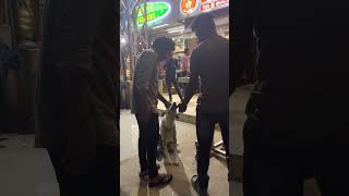 WATCH TILL END🥹🥹|FEED STREET DOGS 🥹🥹|DO SUBSCRIBE