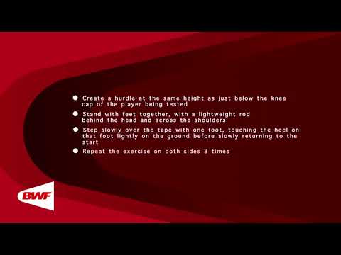 CE2M9V11 - Tests physiques - Pas par-dessus les haies