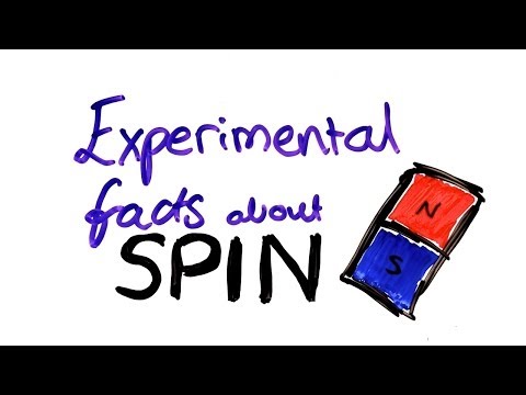 Spin