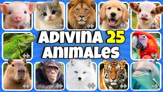 Adivina 25 ANIMALES Por El SONIDO😱🎶❤️Quiz De ANIMALES❤️Capibaras😍León🦁Tigre🐯Gatitos❤️Perritos🐶