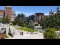 Seattle University- Seattle U