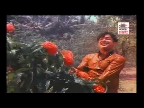 download lagu mp3 mp4 Aayiram Ninaivu Aayiram Kanavu, download mp3 Aayiram Ninaivu Aayiram Kanavu free downloadn, video klip Aayiram Ninaivu Aayiram Kanavu
