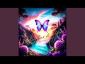 Butterflies & Doves
