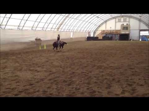 Chicky Bobby April 2013