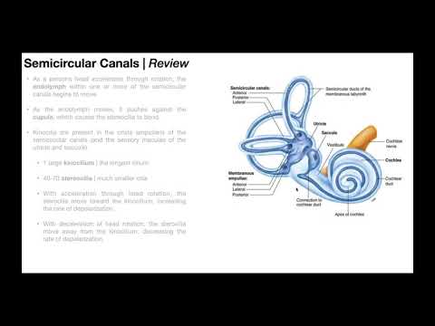 Benign Paroxysmal Positional Vertigo (BPPV) | Overview
