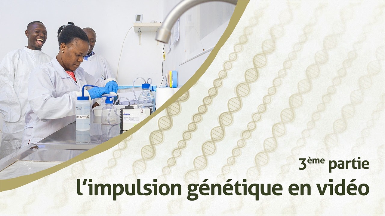 Quels tests de sécurité et études d'efficacité réalisons-nous dans nos laboratoires ?