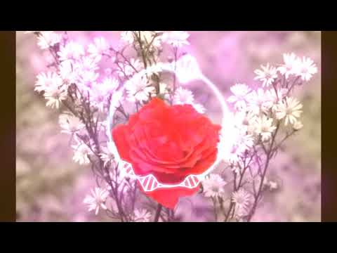 AMI - VONË (Official song 2018)