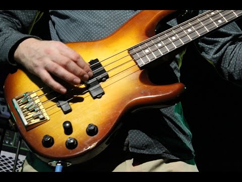 The African Bass Masterclass: Zimbabwe, Congo, Senegal. Tutorial With Edd Bateman. Sungura & Sebene