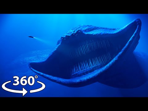 [8K] Sea Shin Sonic Tapes - First Encounter | 360º VR