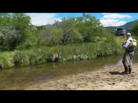 JUST SIGHT FISHING and SLOW MOTION - QUILLEN RIVER