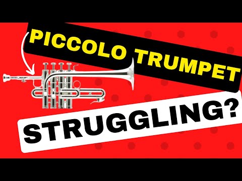 Piccolo Trumpet Challenges: Expert Tips for Beginners and Troubleshooting for Experienced Players