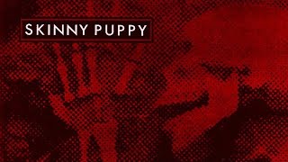 Skinny Puppy - Convulsion (LYRICS ON SCREEN) 📺