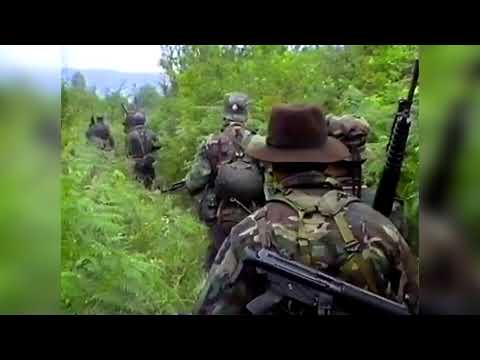 "Banijska ratna praskozorja"_Gordan Lederer 1991.