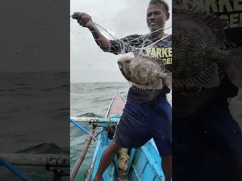 BAGYONG WILMA TUMAMA SA AMIN PAGBATAK NG AMING LAMBAT #bagyongwilma #fishing #lambat #philippines