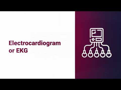 Echo & Electro-Cardiogram Video