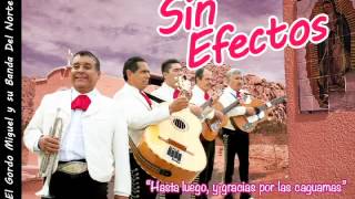 Sin Efectos — &quot;Jalisco, MX&quot; (cover of NOFX/Rancid &quot;Olympia, WA&quot;)