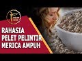 Mantra Plintir Merica Paling Ampuh