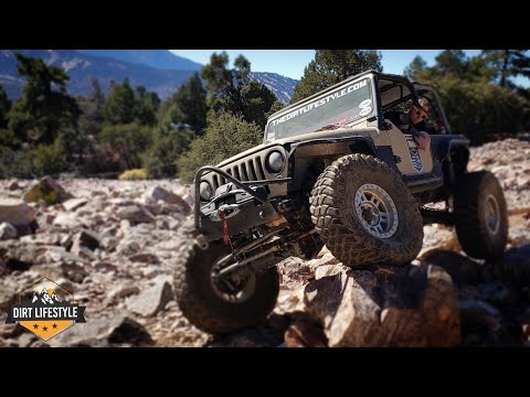 Don't Buy Long Arms Until YOU Watch This Video!! Long Arms VS Short Arms!