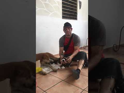 14 de septiembre de 2020