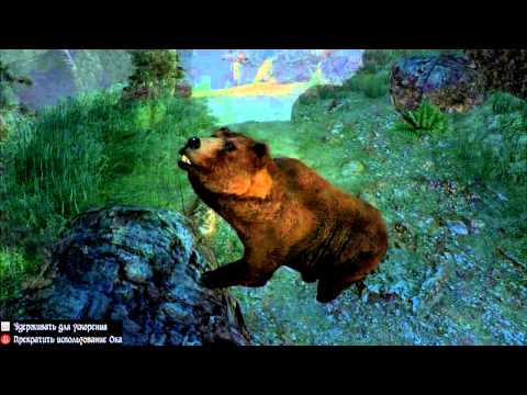 Two Worlds. Funny Compilation