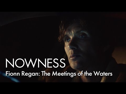 Fionn Regan: The Meetings of the Waters