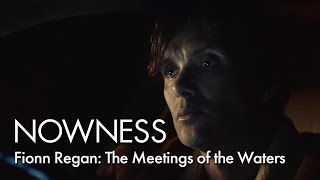 Fionn Regan: The Meetings of the Waters