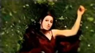 Bài hát Symphony Of Life - Nghệ sĩ trình bày Tina Arena