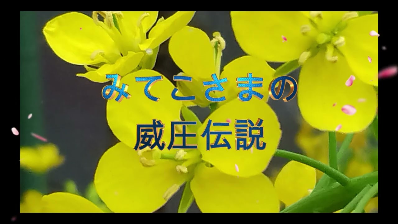 みてこさま　激しい二面性