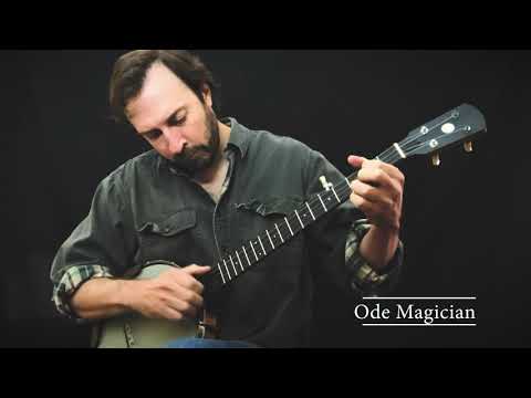 Ode Magician 5-String Openback Banjo 12 inch Cherry image 26