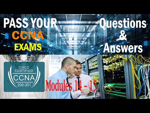 CCNA 1 v7 Modules 14 – 15 Network Application Communications Exam Answers