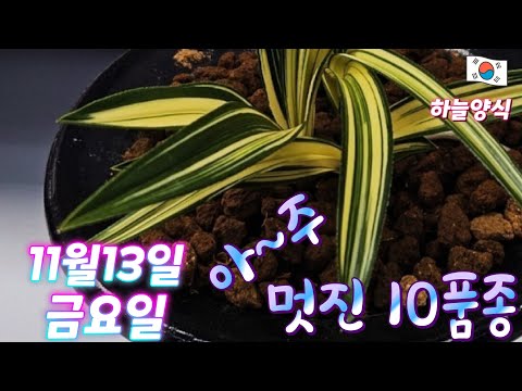 유튜브 썸네일